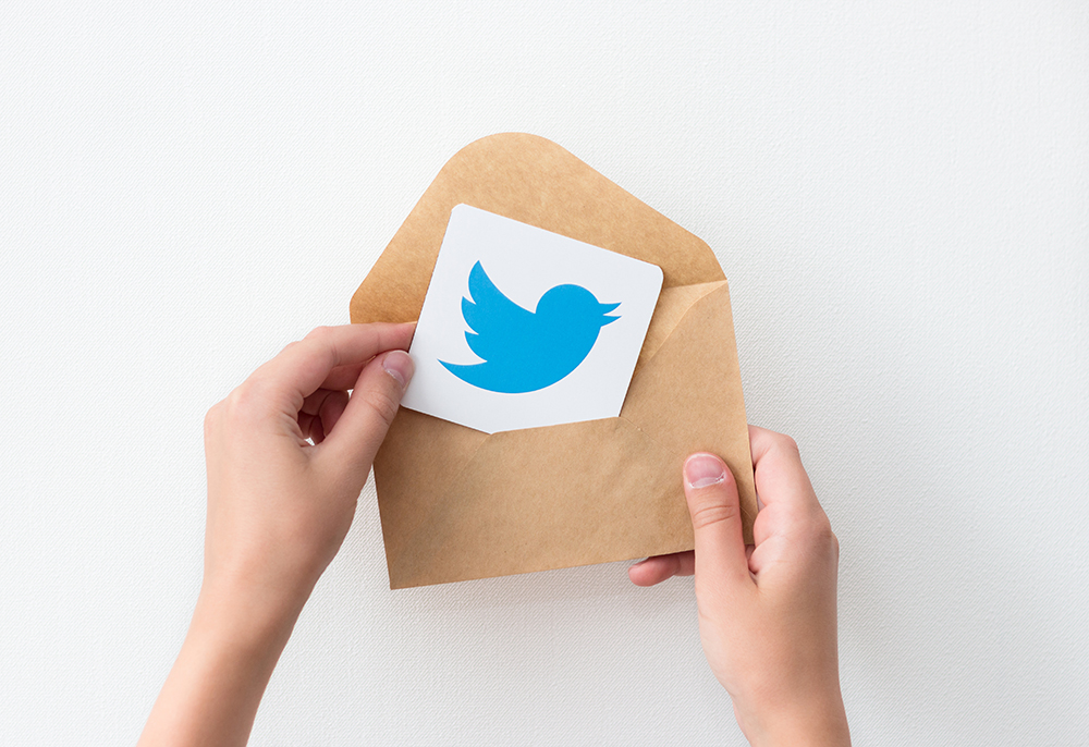 Twitter cresce em usuários ativos e aquece o mercado investidor