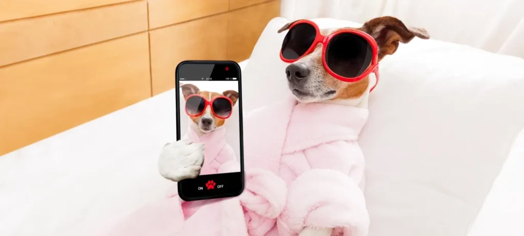 Com liderança visionária e estratégias inovadoras, Petlove coloca pets e tutores no centro