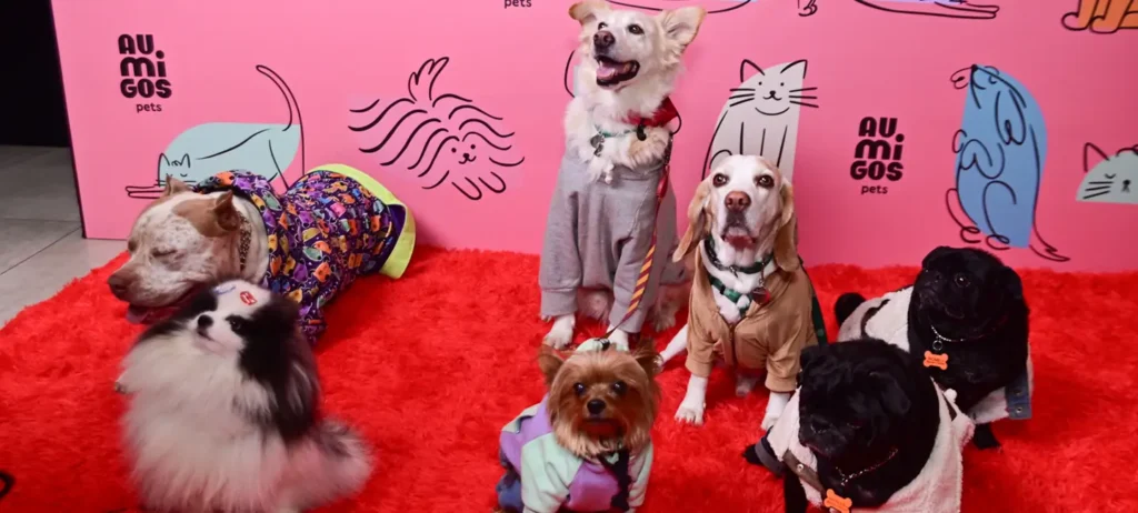 Grupo Boticário fortalece laços com tutores e pets com ação da linha Au.Migos Pets