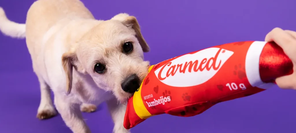 Carmed para cachorros Entenda a collab entre Cimed e Petlove