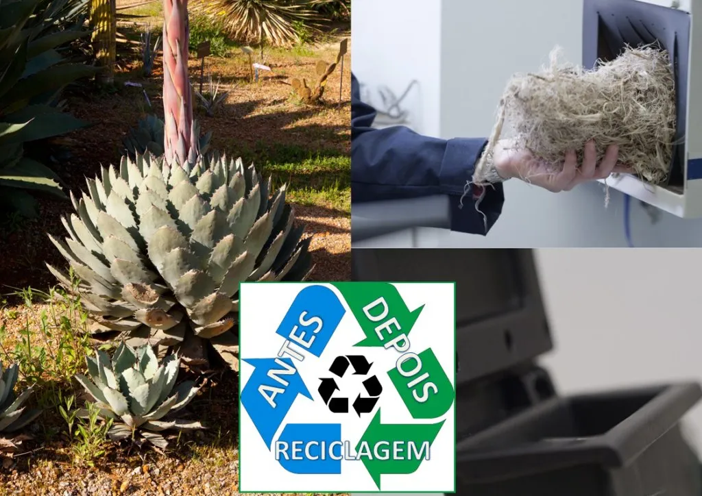 FordReciclagem-Agave